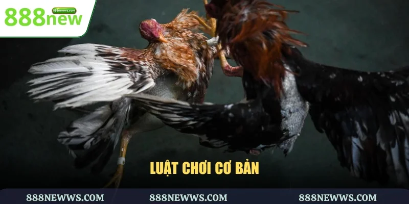 Luật chơi cơ bản