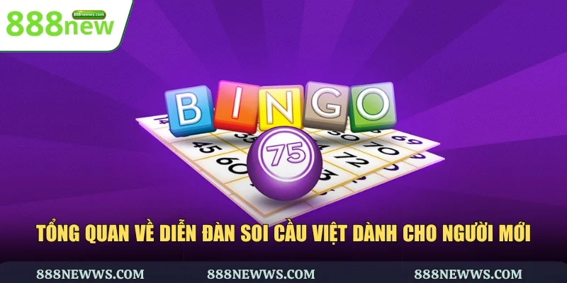 Tổng quan về diễn đàn soi cầu Việt dành cho người mới